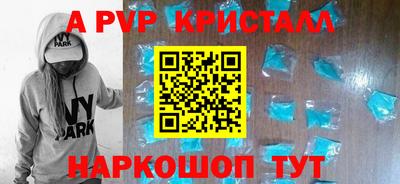 гидра Будённовск