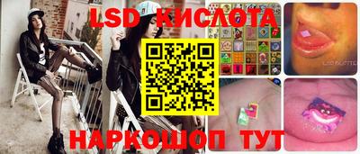 гидра Будённовск