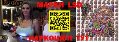гидра Будённовск