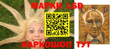 гидра Будённовск
