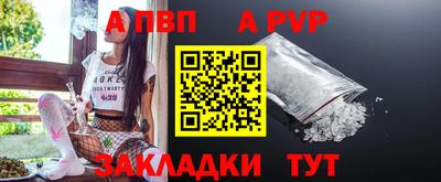 гидра Будённовск