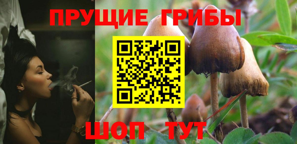 Галлюциногенные грибы прущие грибы Лабинск